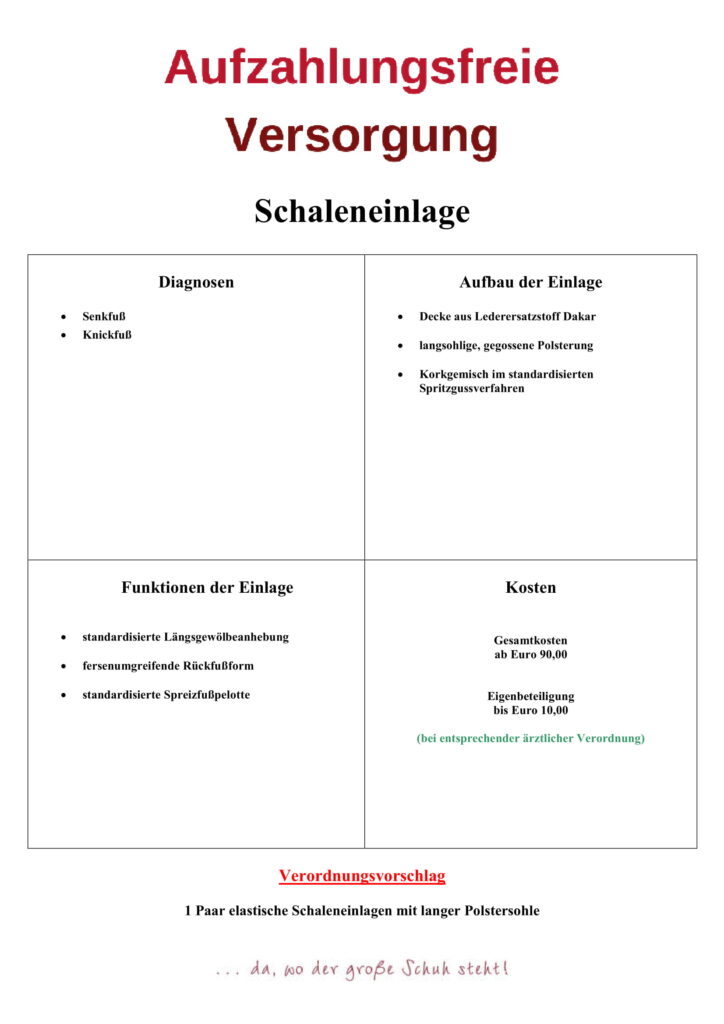 B0 Schaleneinlage Kassenmodell-1
